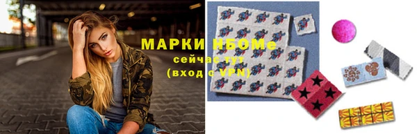 индика Алзамай