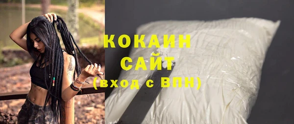 индика Алзамай