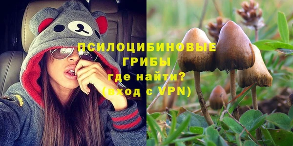 синтетический гашиш Алексеевка