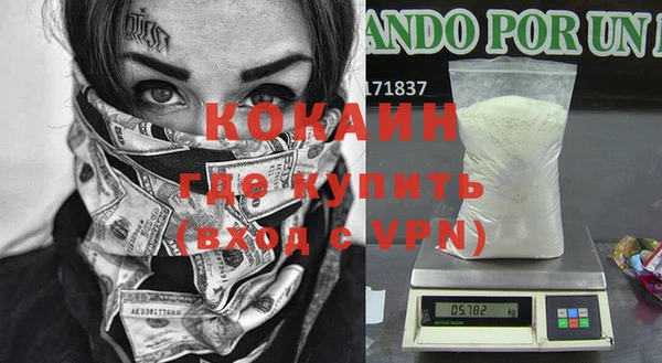 индика Алзамай