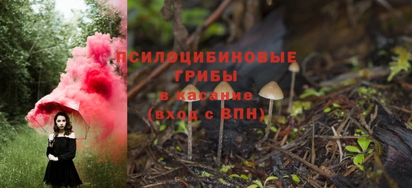 индика Алзамай