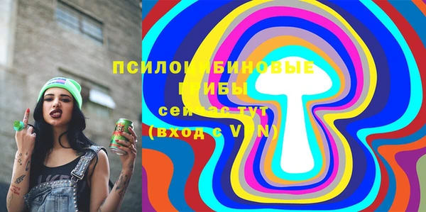 индика Алзамай