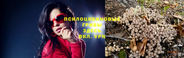PSILOCYBIN Алексин